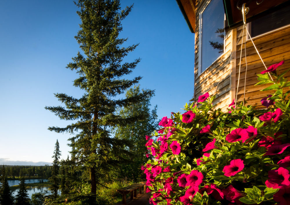 Gallery Lodge Kasilof Exterior photo